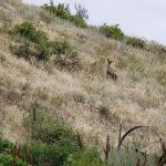 Parrish Ranch Campground