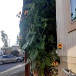 Sunnyside Heights RV & MH Park