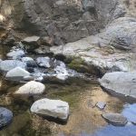 Camping: watching creek