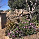 Skyline Ranch RV Park & Cmpgrn