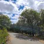 Burnt Rancheria Campground