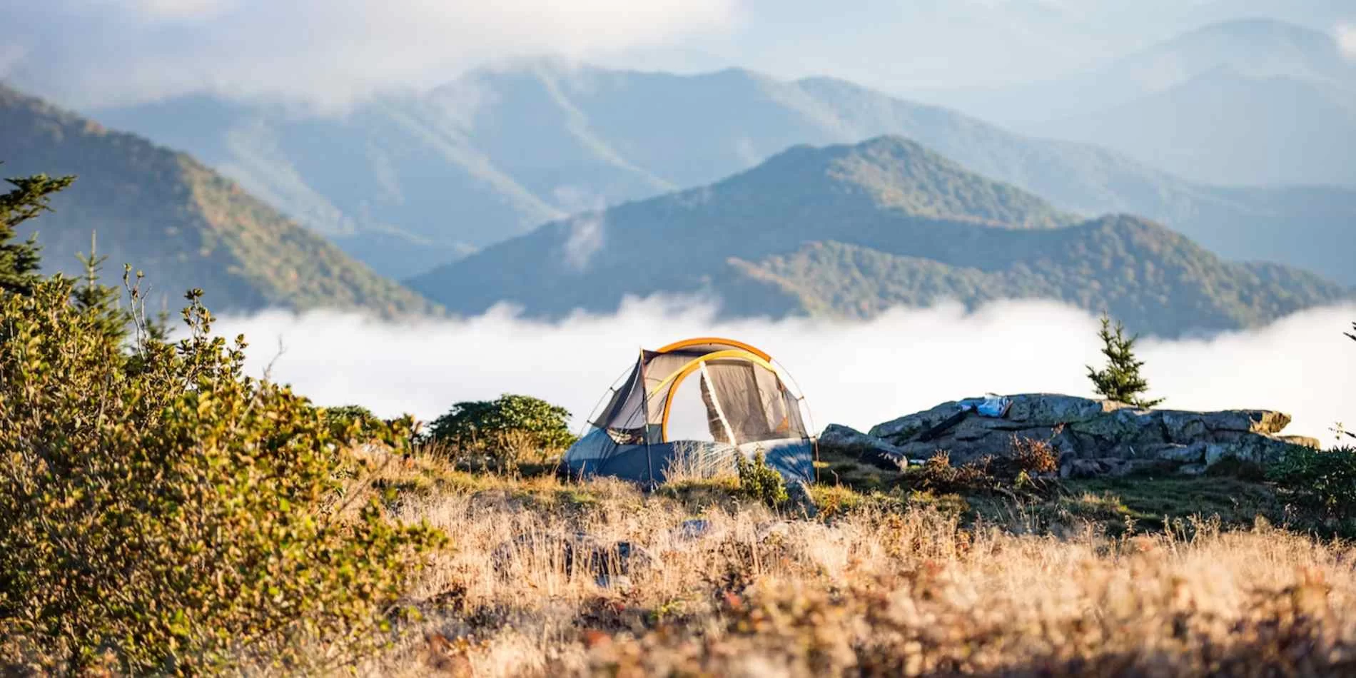 What to Expect from a Primitive Campground Experience: A True Nature Escape