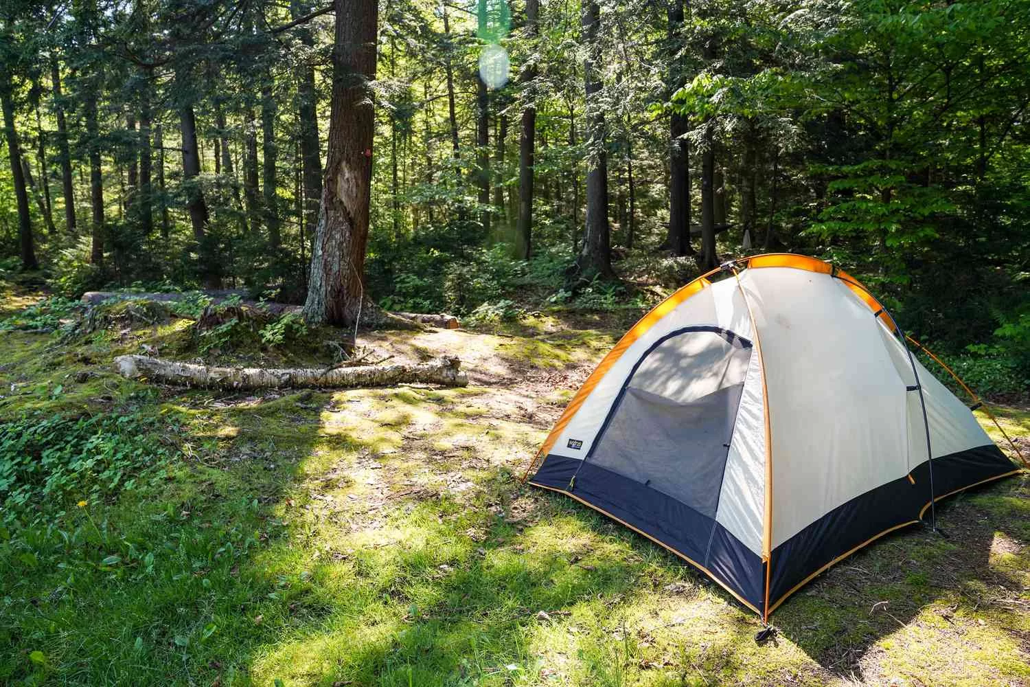 How to Plan a Successful Camping Trip in America