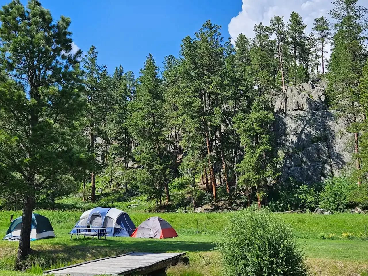 Top Camping Resorts in the Black Hills: Discover the Best Places for Your RV and Tent Getaway