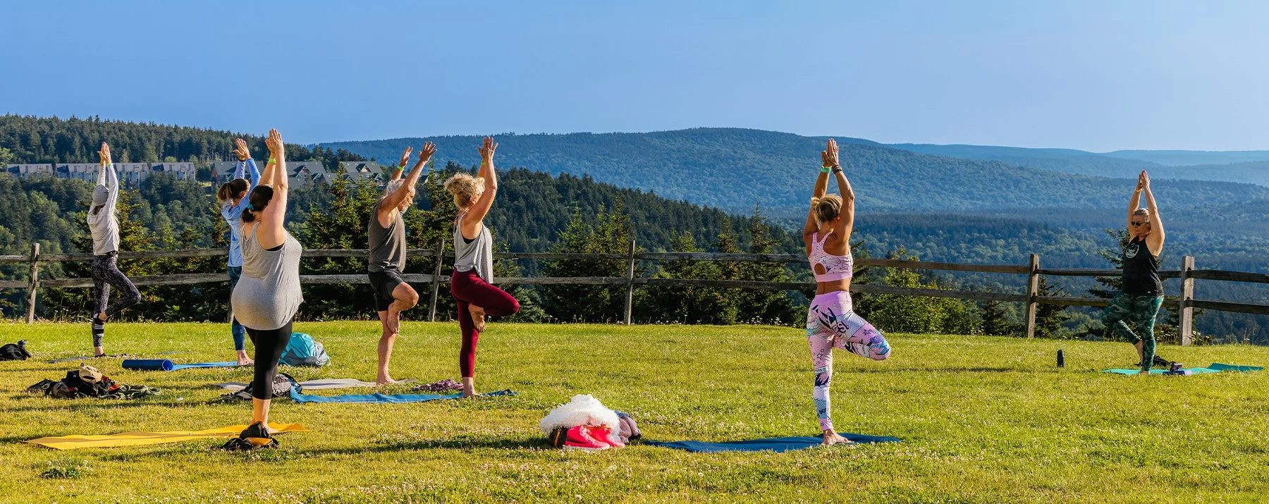 Experience Tranquility at Camping Resorts with Yoga Retreats