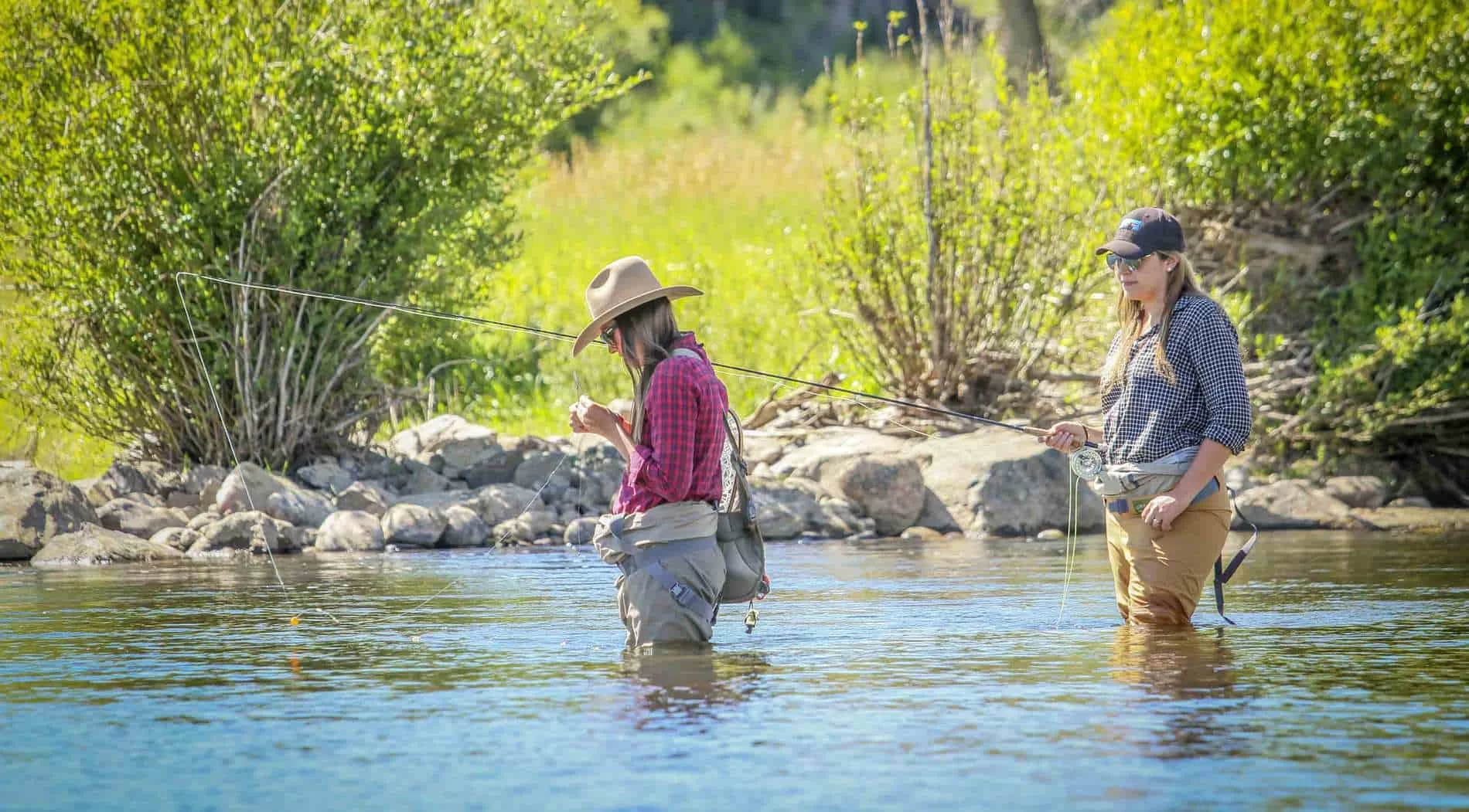 Best Camping Resorts Near Riverside for Trout Fishing Adventures