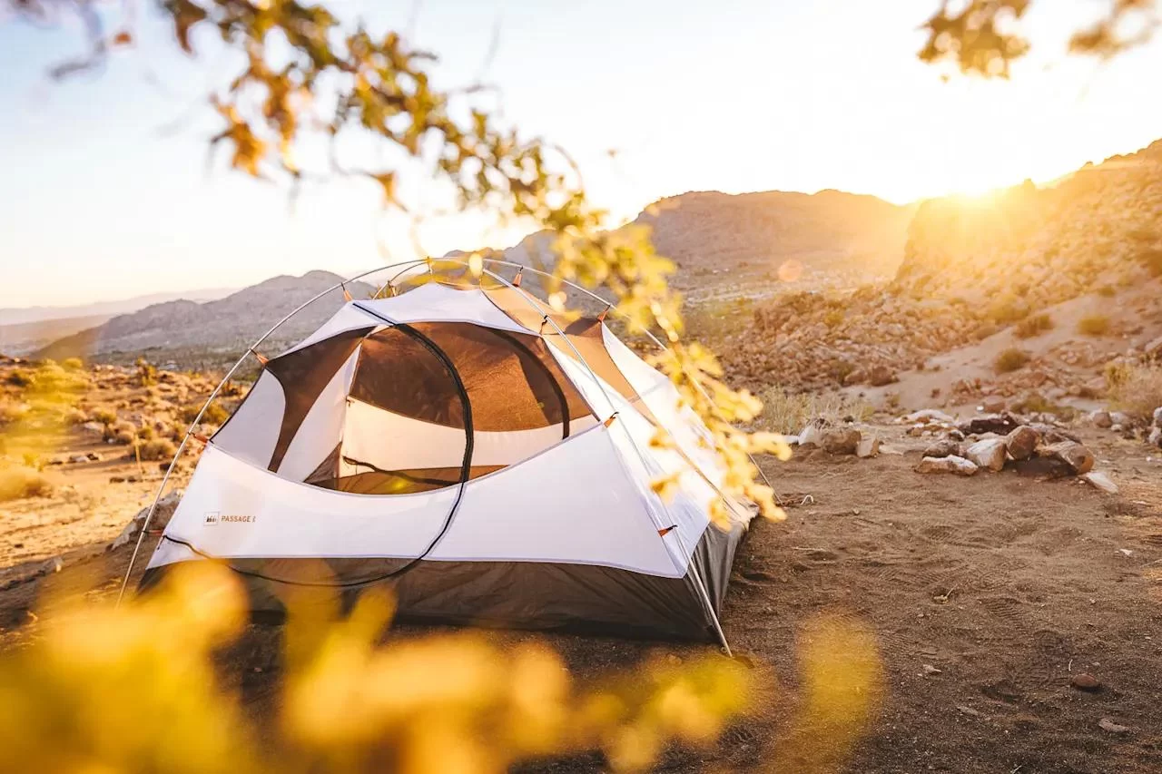 Best Campsites for Wildlife Watching in the US