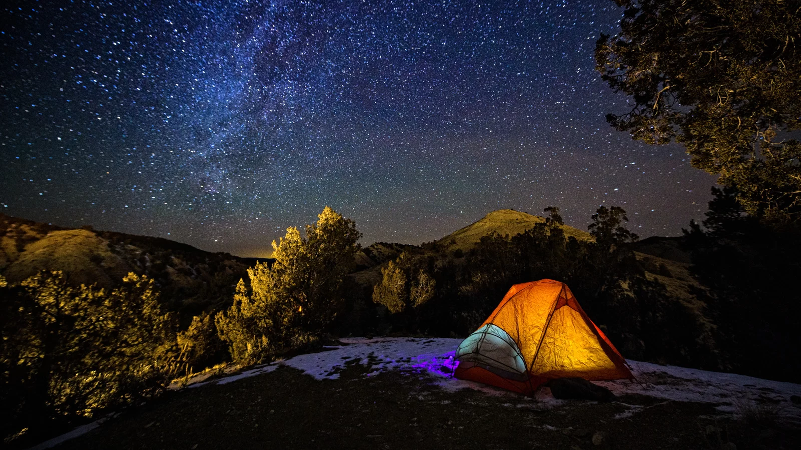 How to Keep Your Campsite Free of Bugs and Pests: Essential Tips for a Comfortable Outdoor Experience