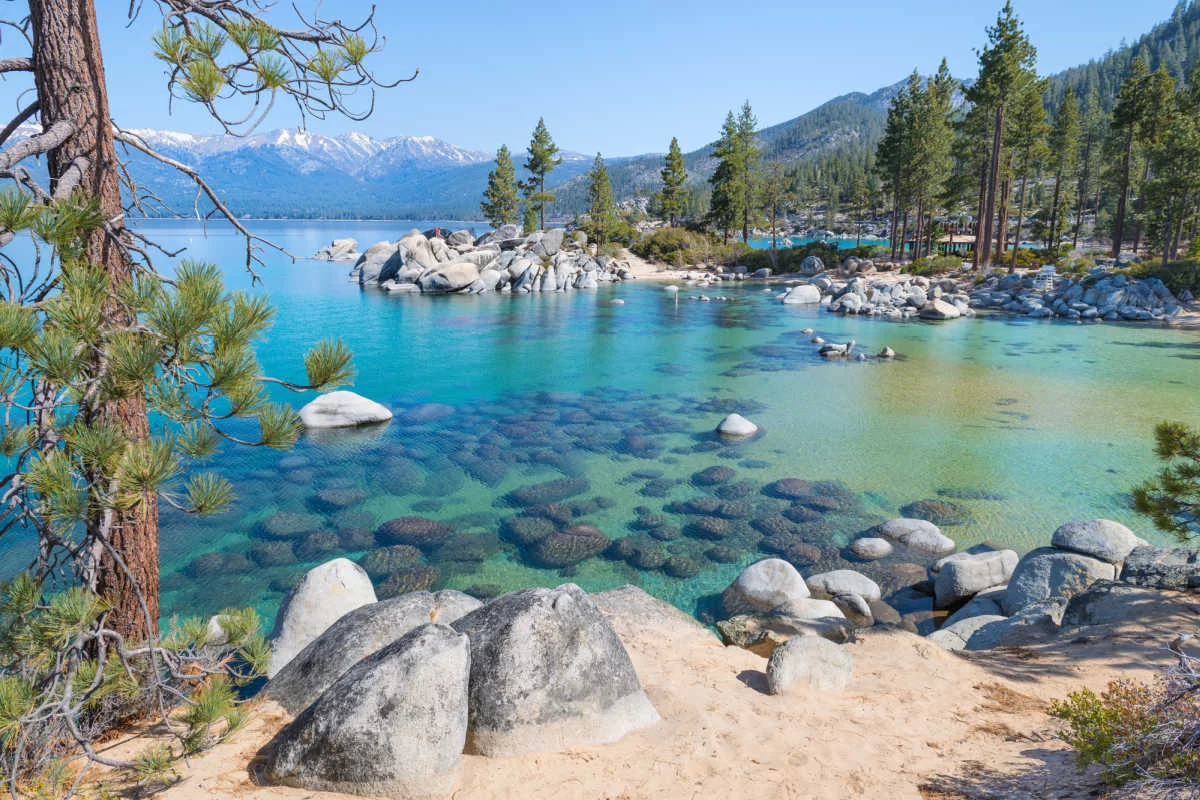 How to Organize a Family Camping Reunion: Tips and Ideas for a Memorable Getaway