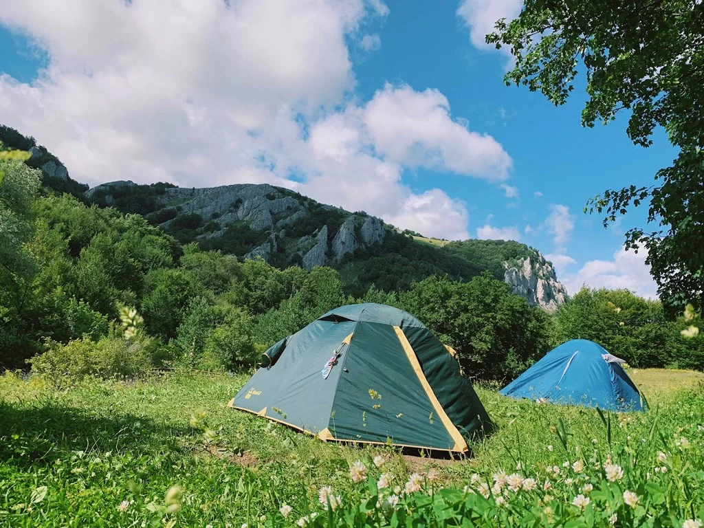 How to Avoid Getting Eaten Alive by Mosquitoes While Camping: Essential Tips and Tricks