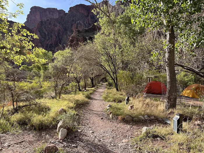 Bright Angel Campground 6
