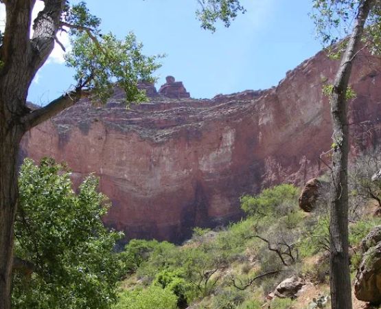 Cottonwood Creek Campsite