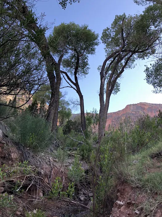 Cottonwood Creek Campsite 2