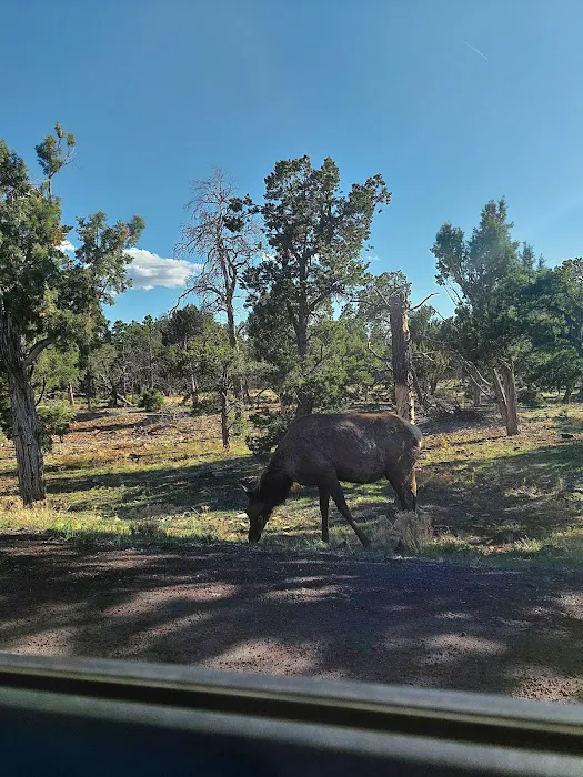 Desert View Campground 5