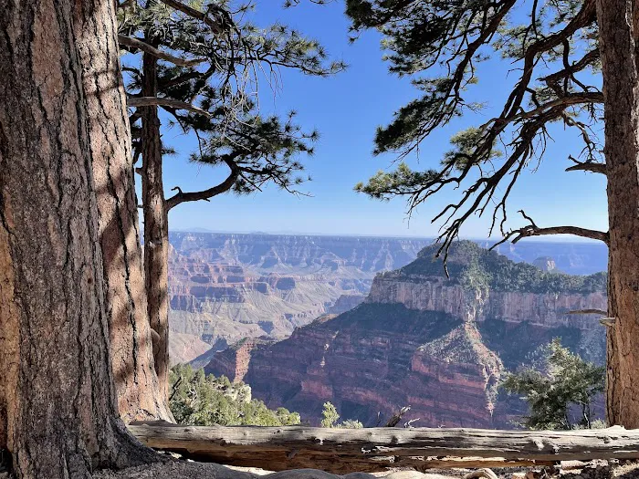 North Rim Campground 9