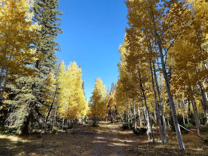North Rim Campground 8
