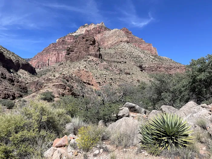 Cottonwood Campground 3