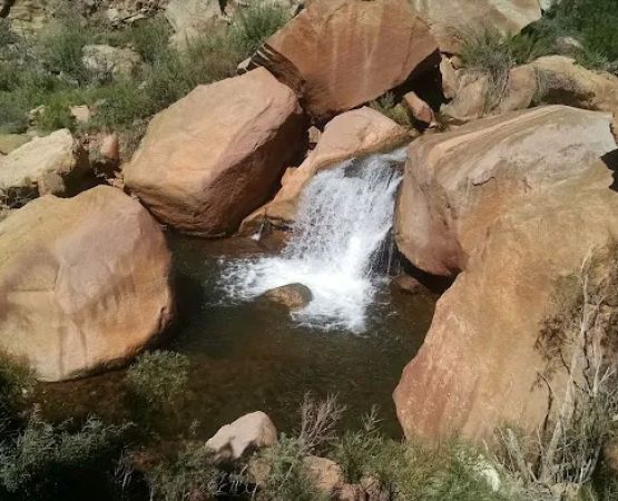 Cottonwood Campground