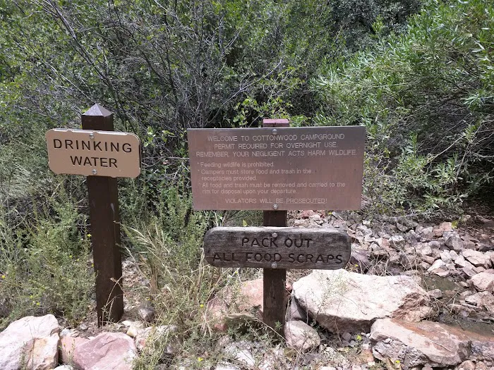 Cottonwood Campground 9