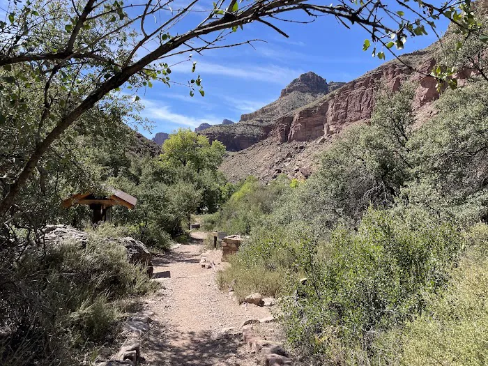 Cottonwood Campground 7