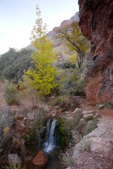 Cottonwood Campground 2