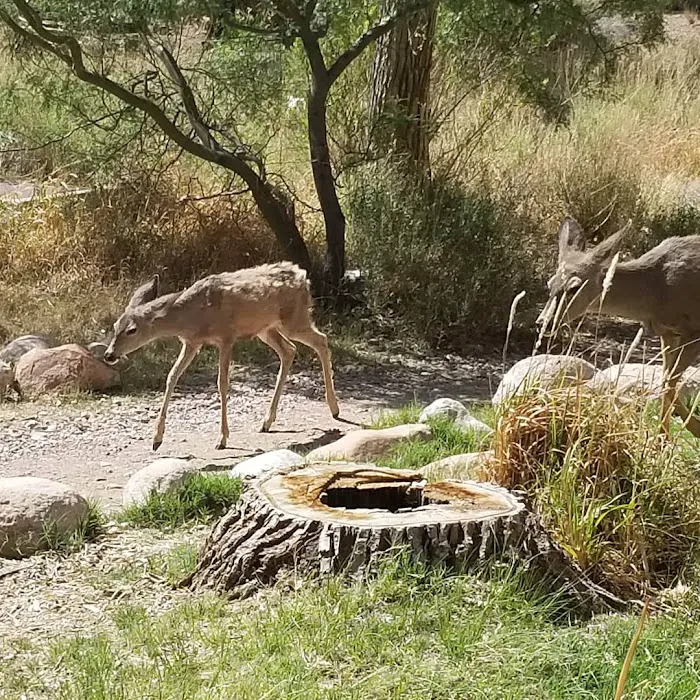 Phantom Ranch 9