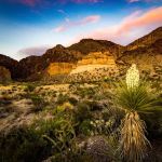 Big Bend National Park