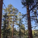 Buffalo Pass Campground