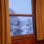 Longs Peak Cabin, YMCA of the Rockies
