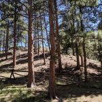 Aspenglen Campground