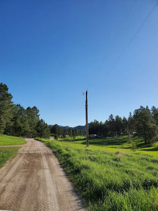 Custer Mountain Cabins & Campground 1