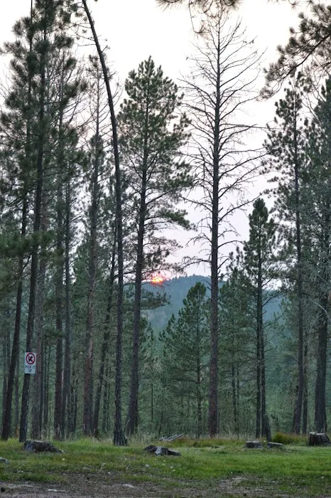 Big Pine Campground 4