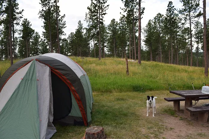 Comanche Park Campground 7