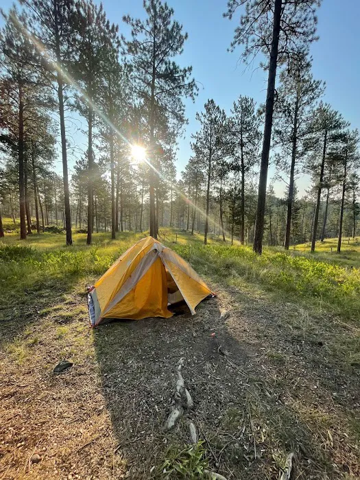 Comanche Park Campground 3