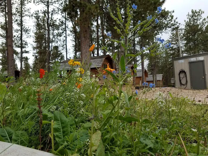 Custer / Crazy Horse / Black Hills KOA Holiday 3