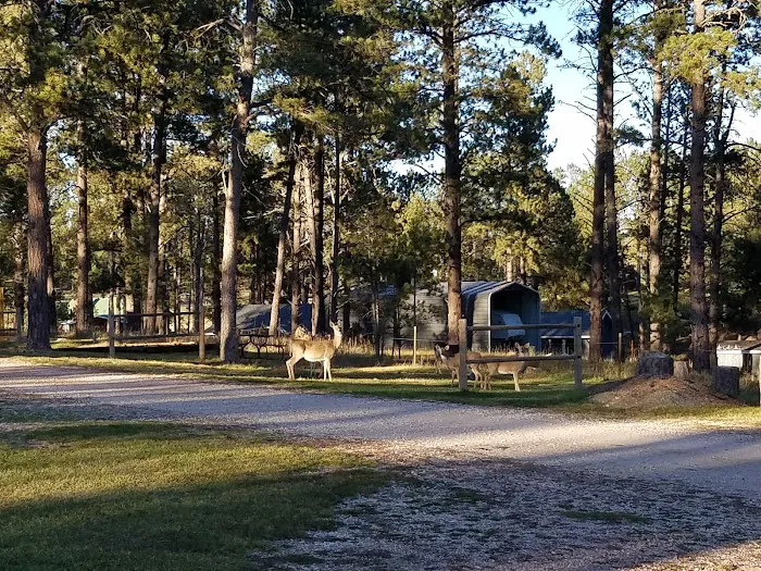 Custer / Crazy Horse / Black Hills KOA Holiday 6