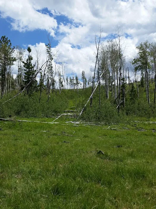 Mt Meadow Store & Campground 5