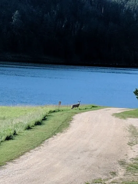 Custer Trail Campground 8