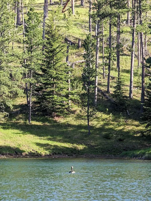 Custer Trail Campground 5
