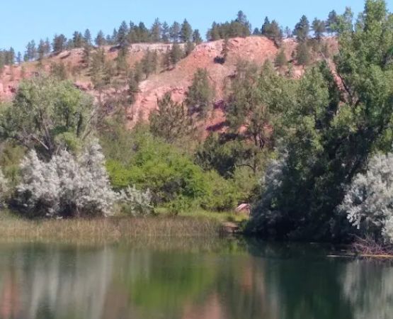 Larive Lake Resort