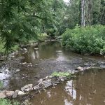 Misty Mountain Camp Resort