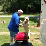 Swift Run Campground