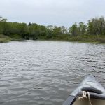 Blackwater Falls Campground