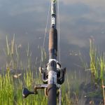 Johnny B's Campground