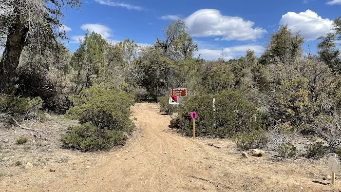 Camp Wood Area 0