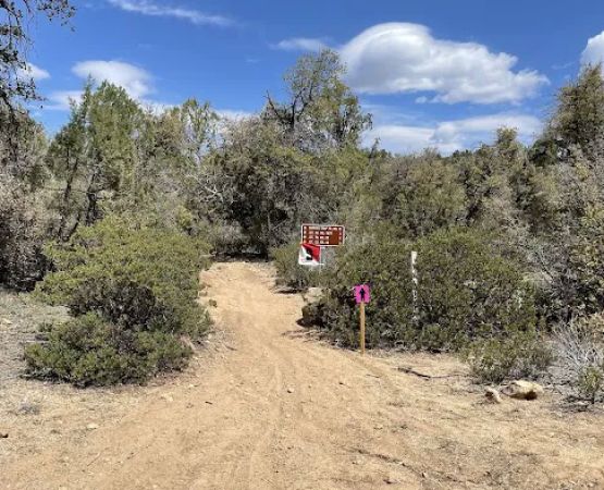 Camp Wood Area