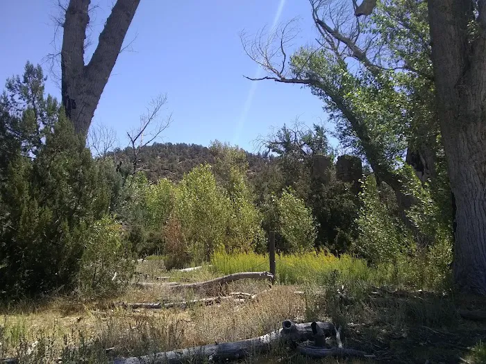 Camp Wood Area 1