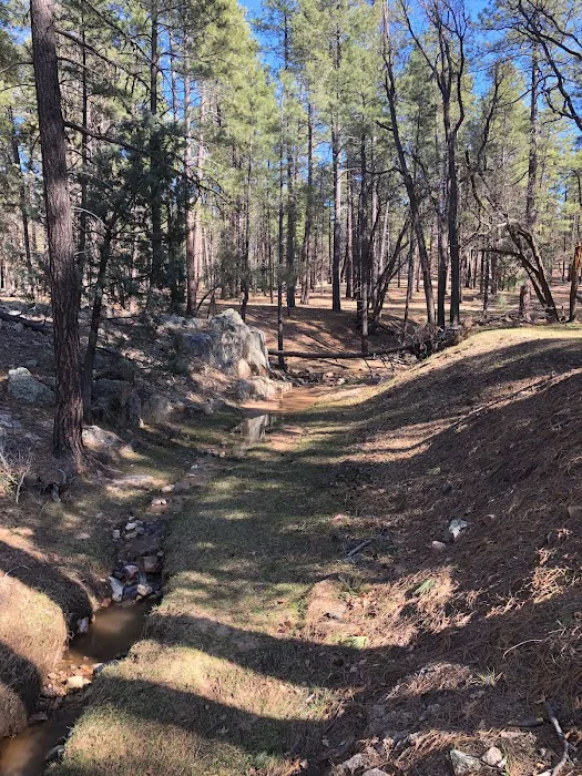 Camp Wood Area 4