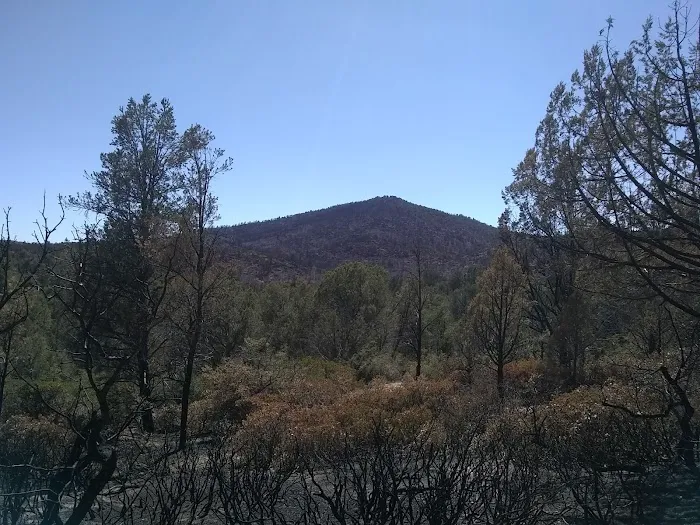Camp Wood Area 3