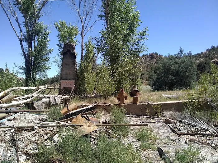 Camp Wood Area 6